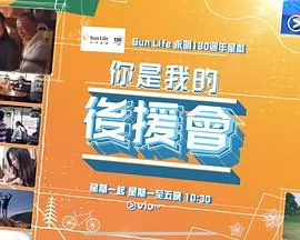 你是我的后援会粤语
